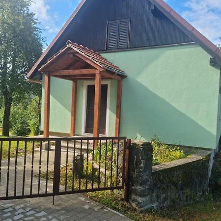 Forest Chalet Zalesina Екстер'єр фото