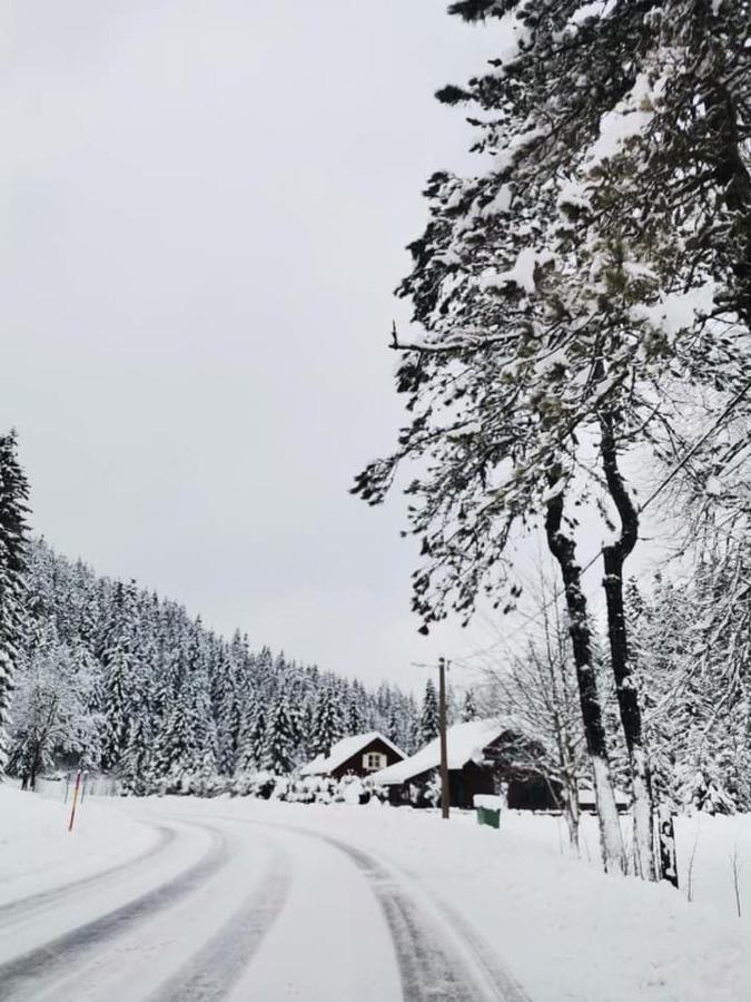 Forest Chalet Zalesina Екстер'єр фото