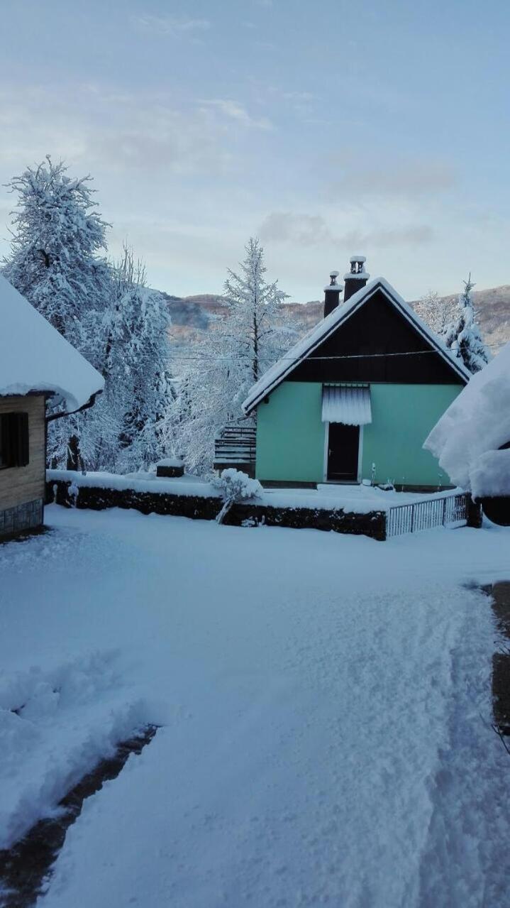 Forest Chalet Zalesina Екстер'єр фото
